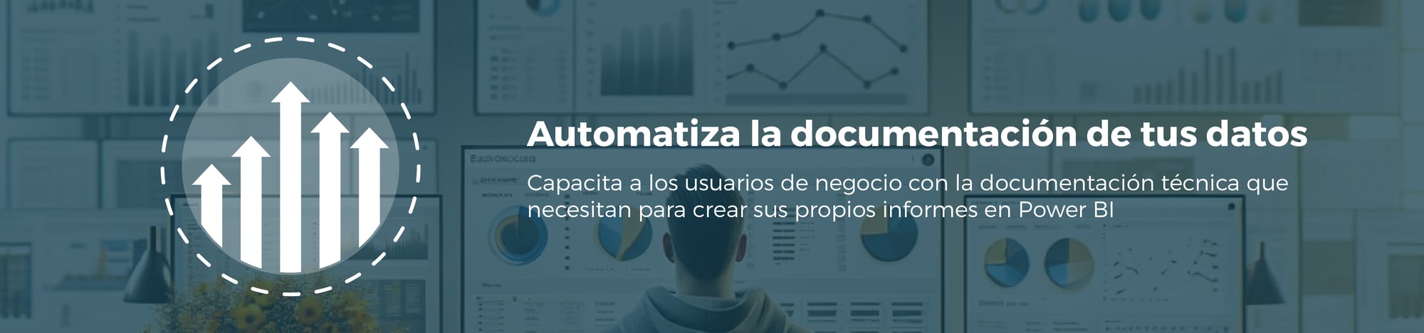Automatizar documentación de datos Power BI